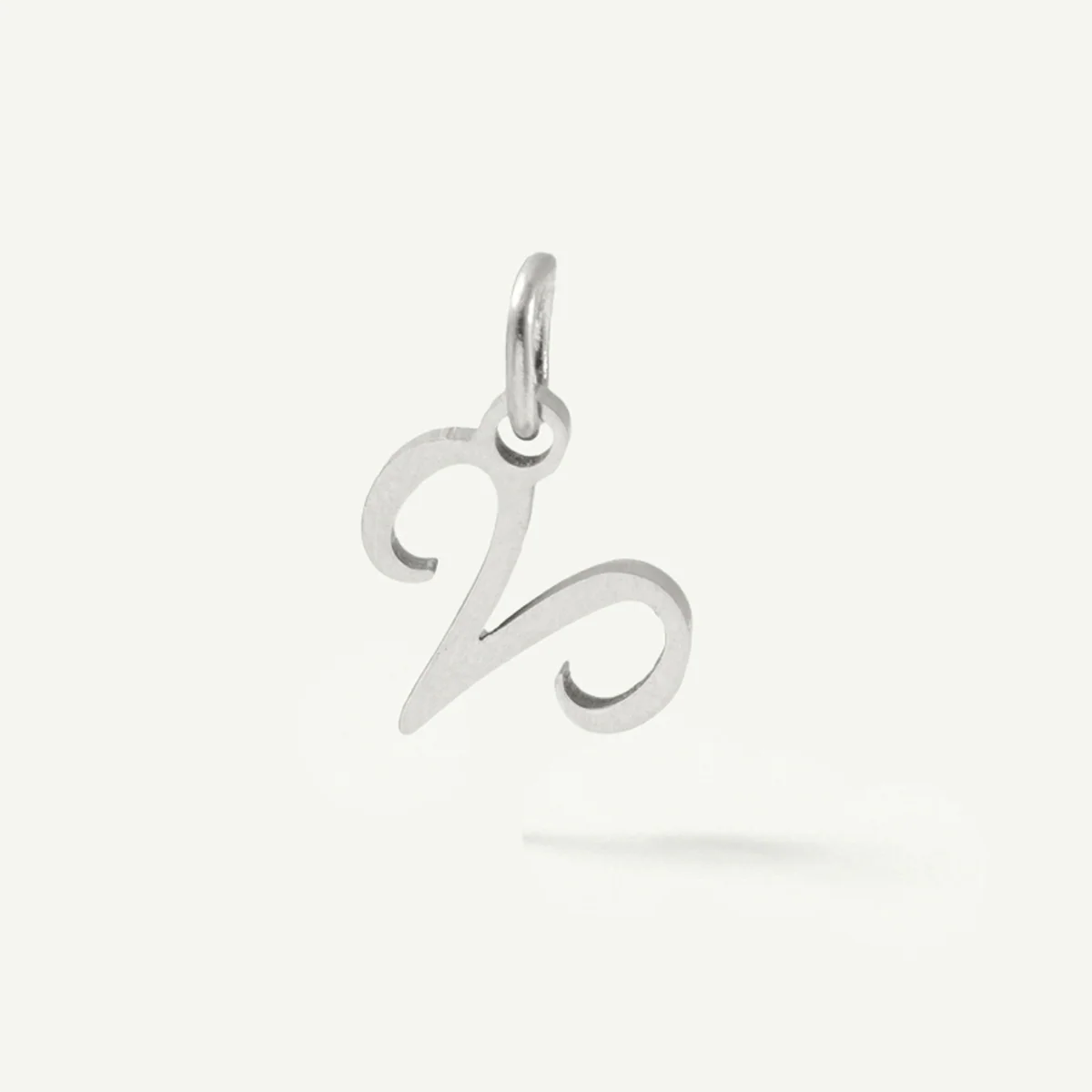 Standard Zodiac Charm