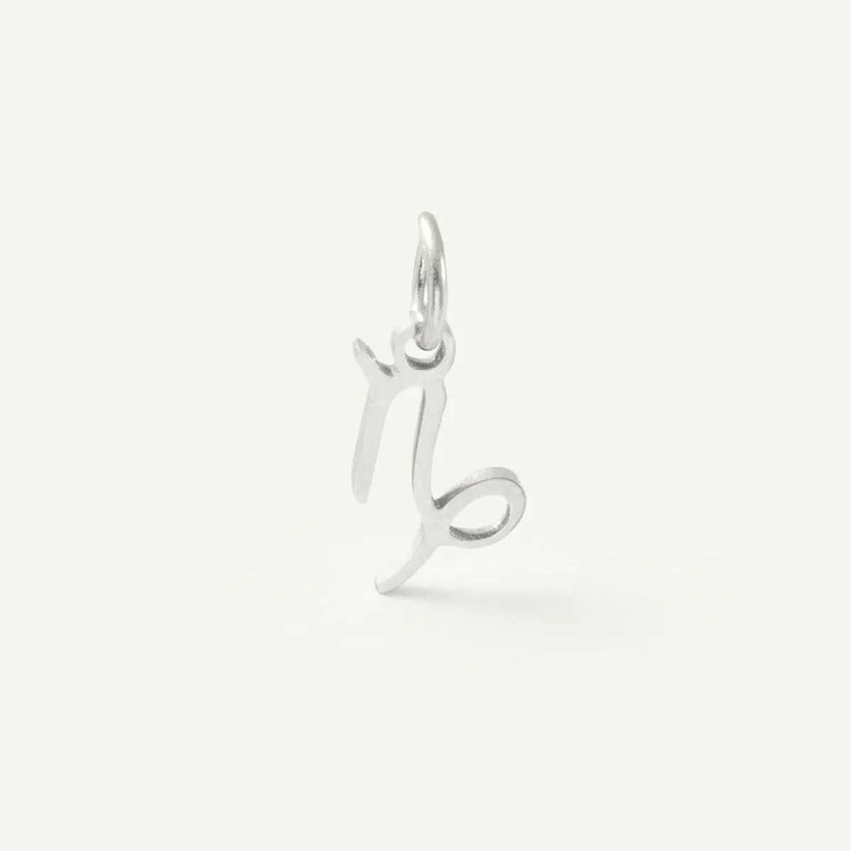 Standard Zodiac Charm