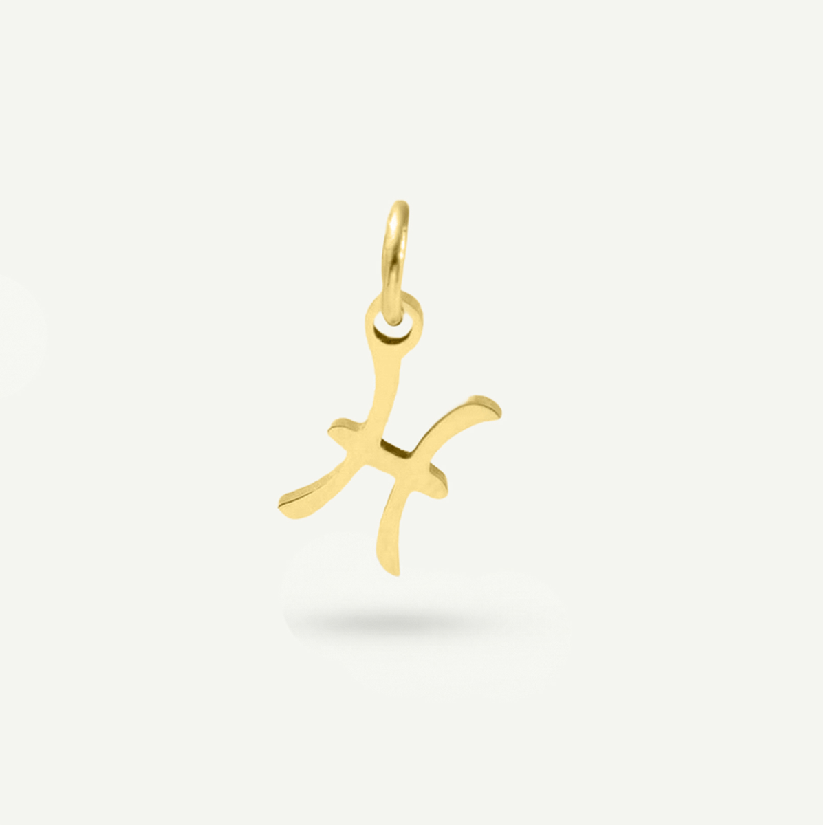 Standard Zodiac Charm