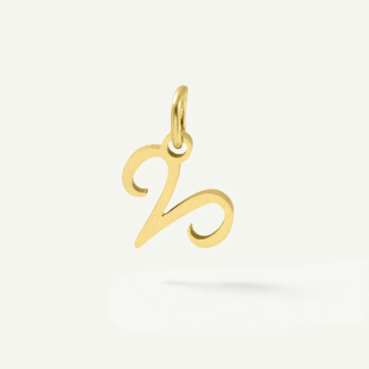 Standard Zodiac Charm