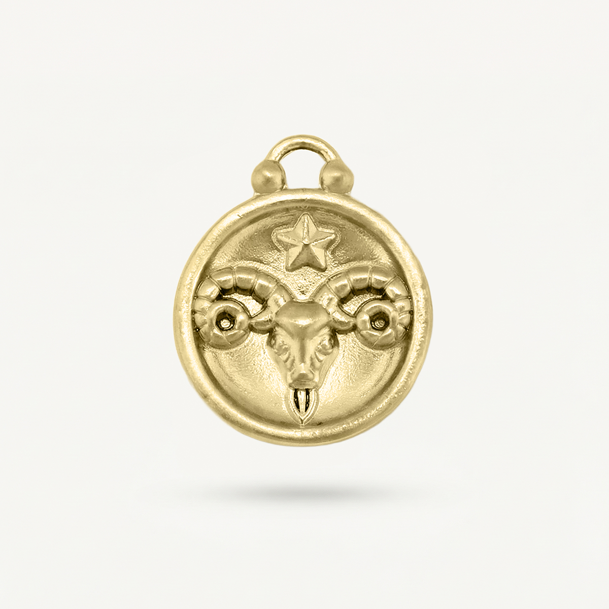 Zodiac Disk Charm