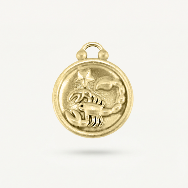 Zodiac Disk Charm