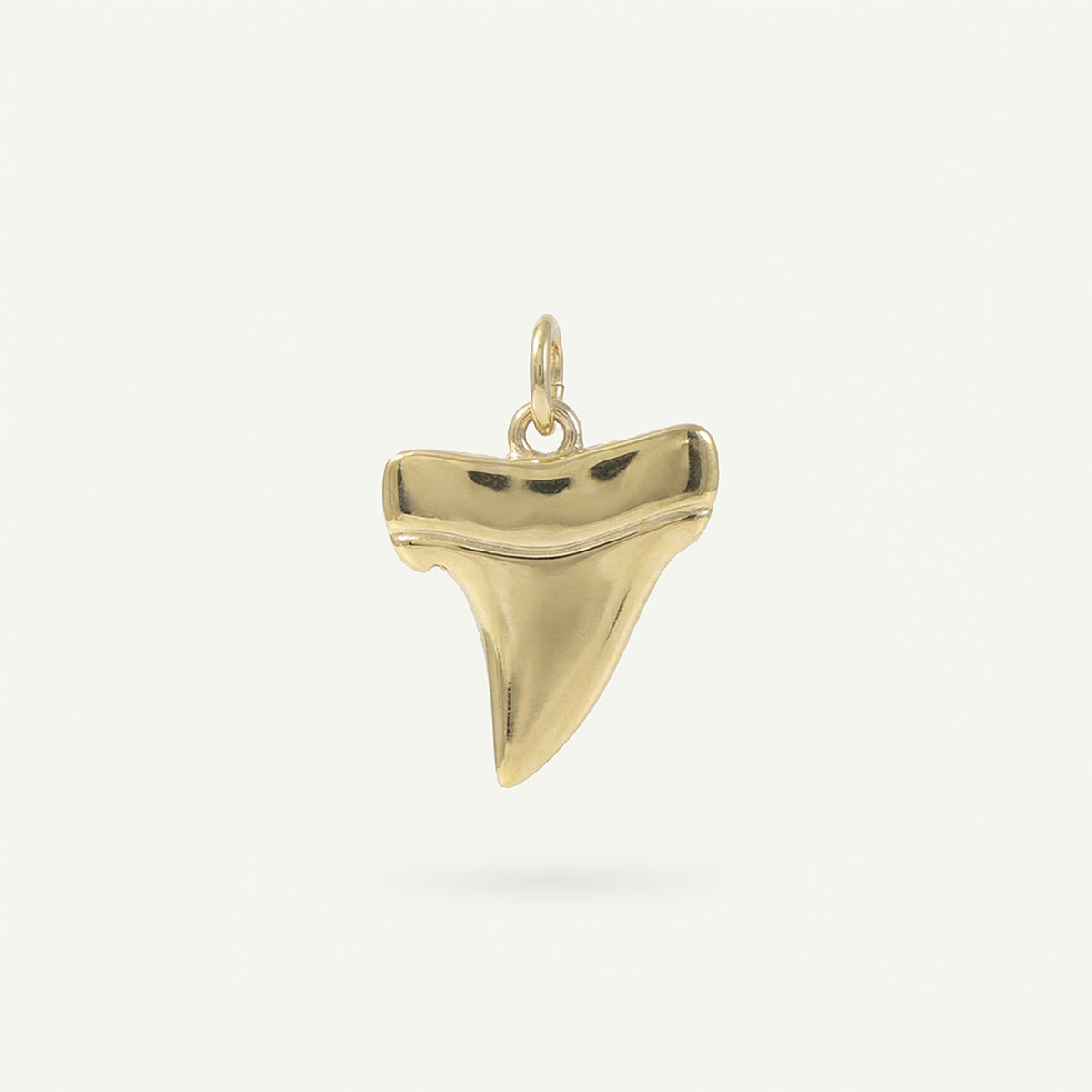 Shark Tooth Charm