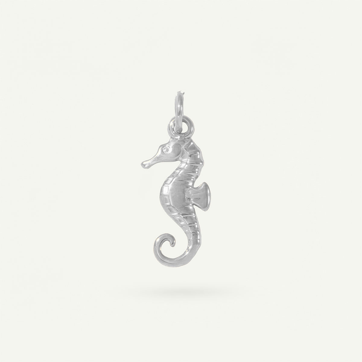 Seahorse Tide Charm