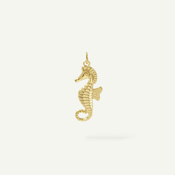 Seahorse Charm
