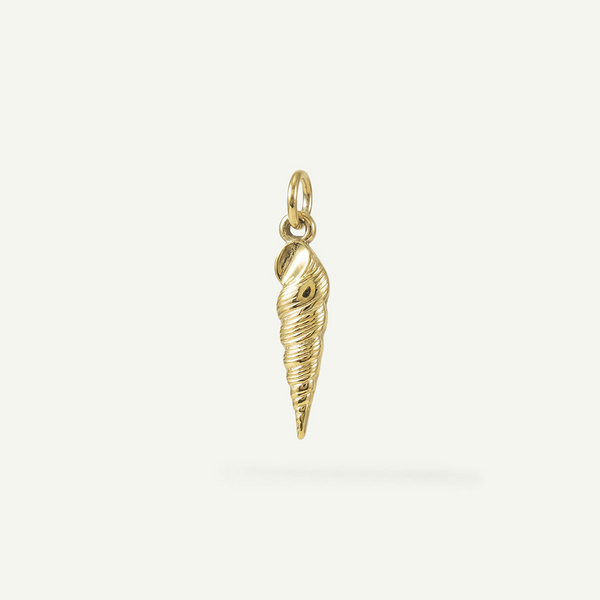 Auger Shell Charm