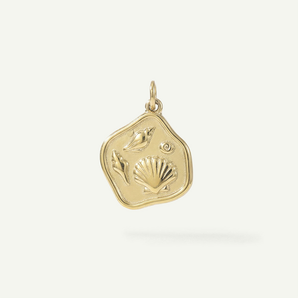 Mixed Shell Disk Charm