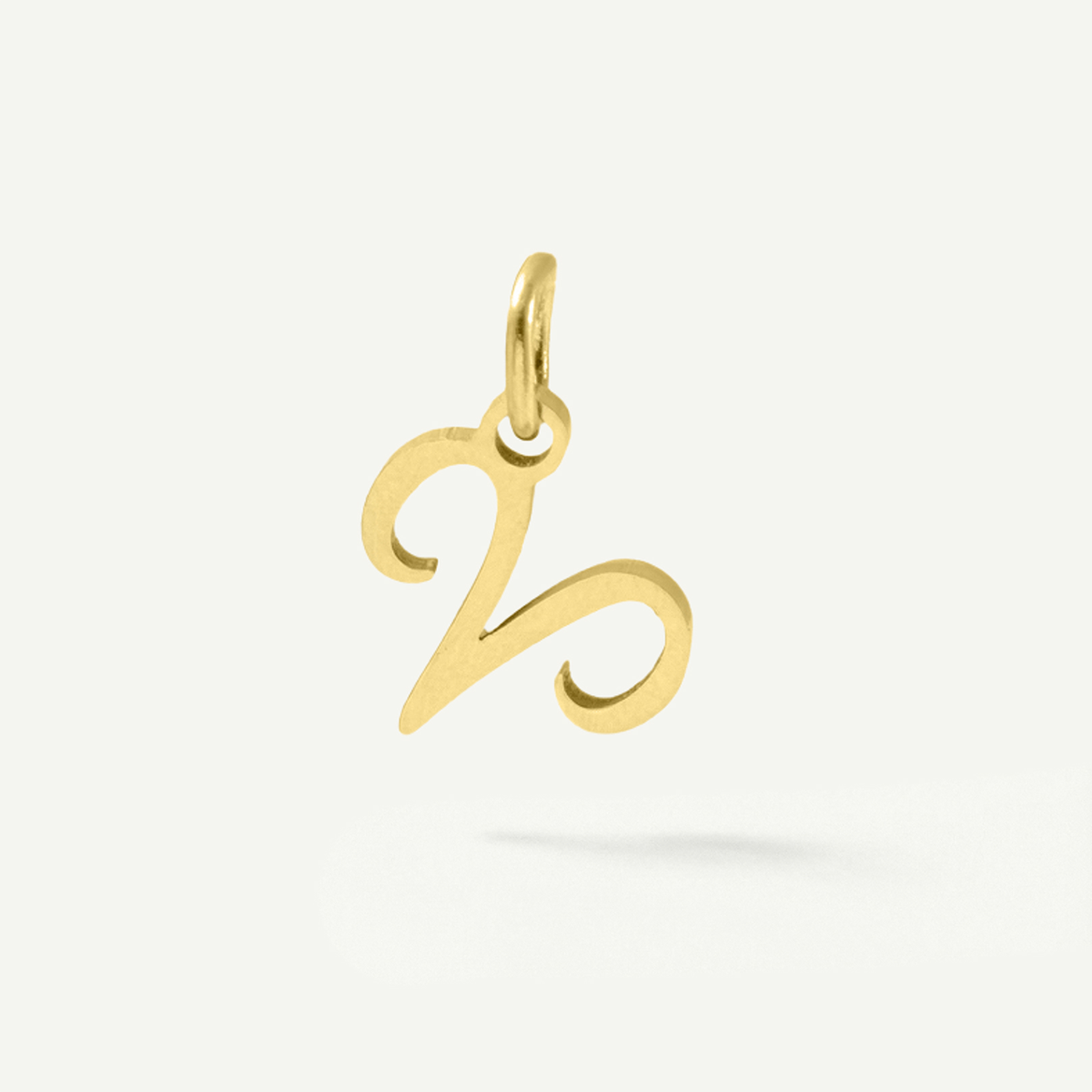 Standard Zodiac Charm