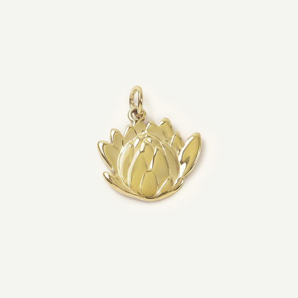 Protea Charm