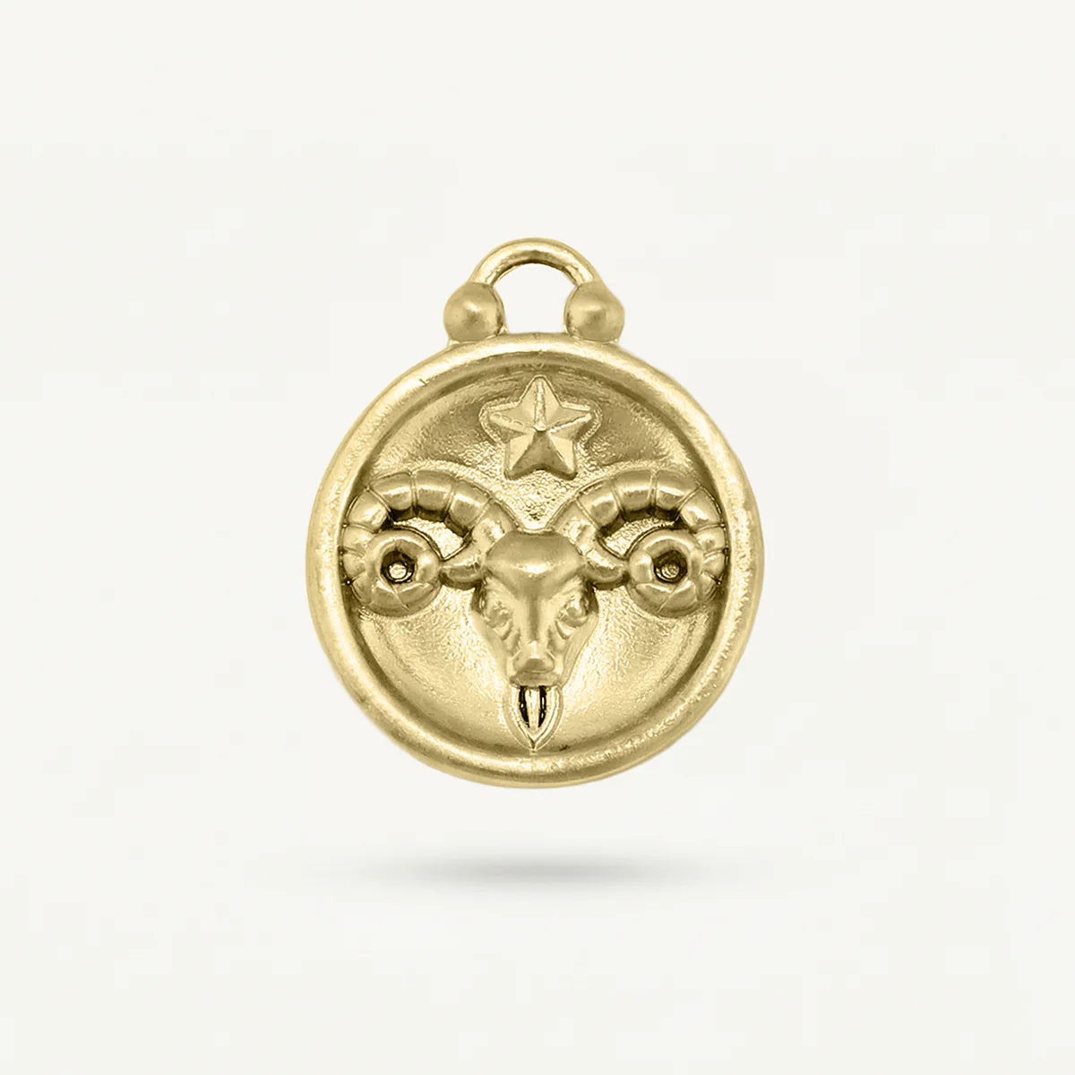 Zodiac Disk Charm