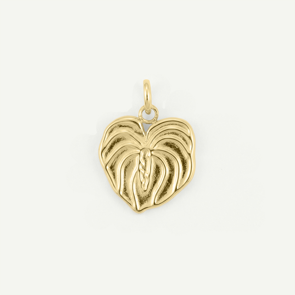 Anthurium Charm, Gold