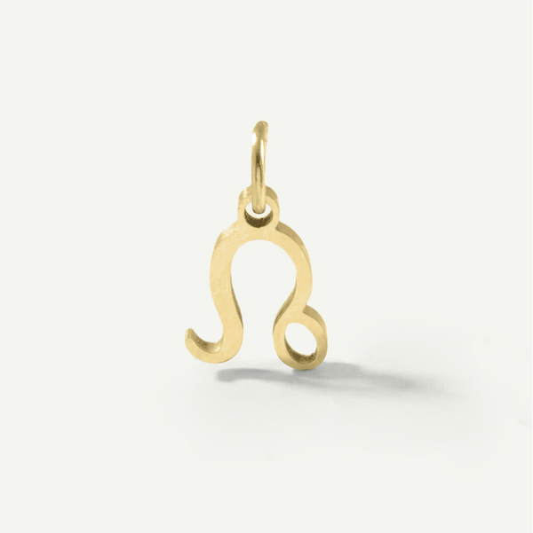Standard Zodiac Charm