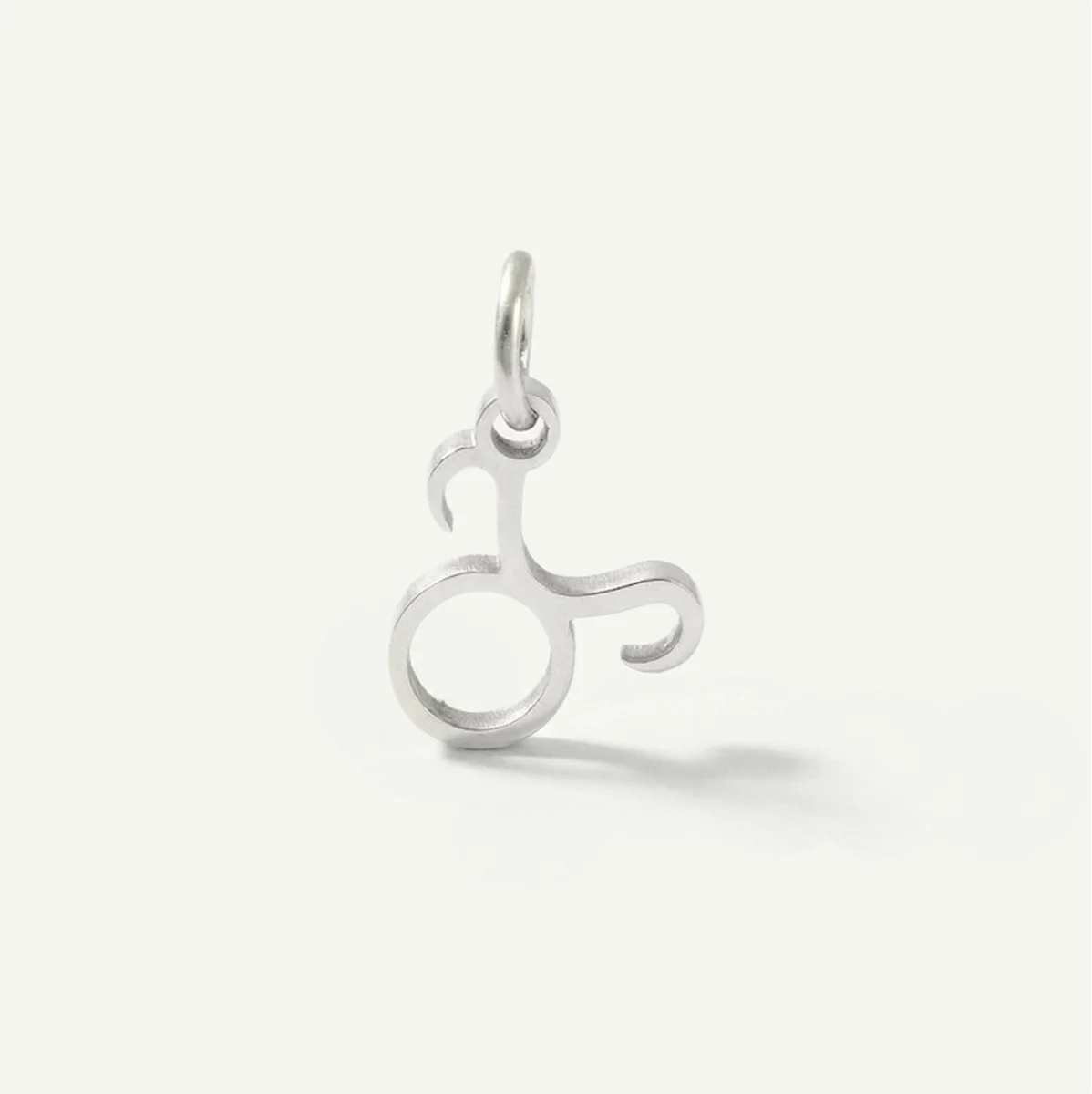 Standard Zodiac Charm