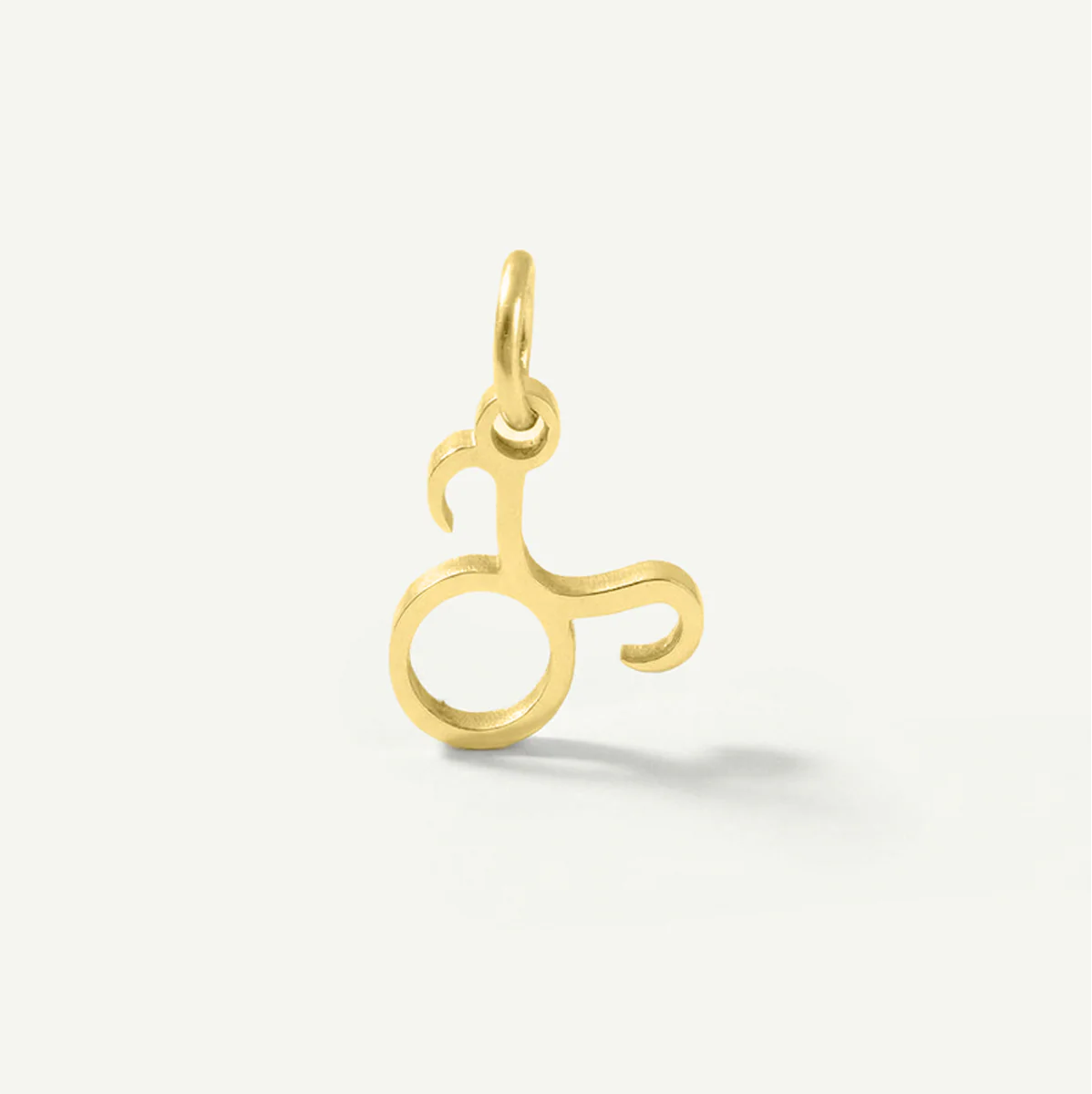 Standard Zodiac Charm
