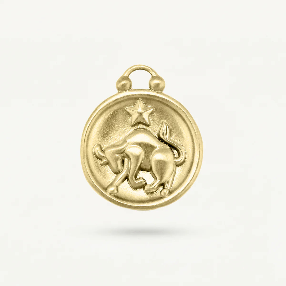 Zodiac Disk Charm