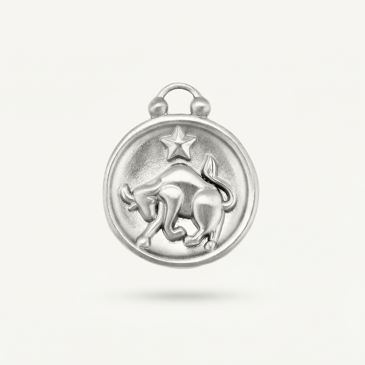 Zodiac Disk Charm