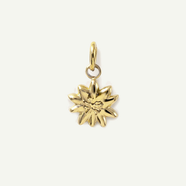 Lilikoi Mini Charm, Gold
