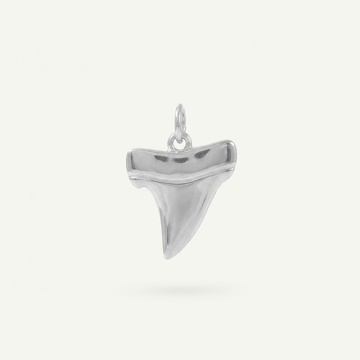 Shark Tooth Charm