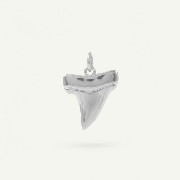 Shark Tooth Charm