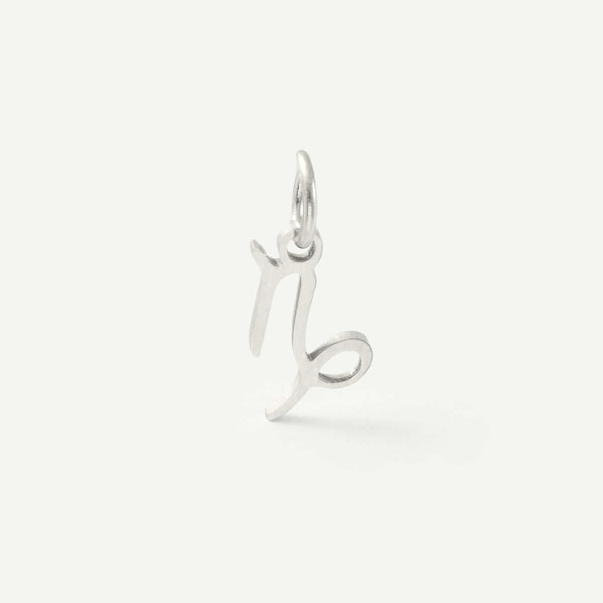 Standard Zodiac Charm