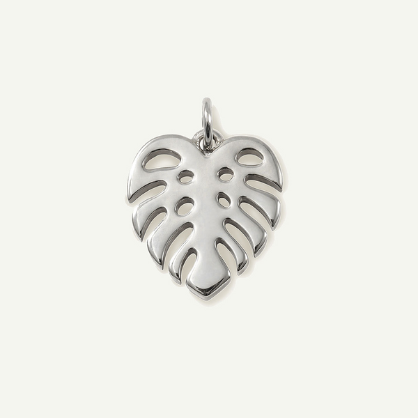 Monstera Charm