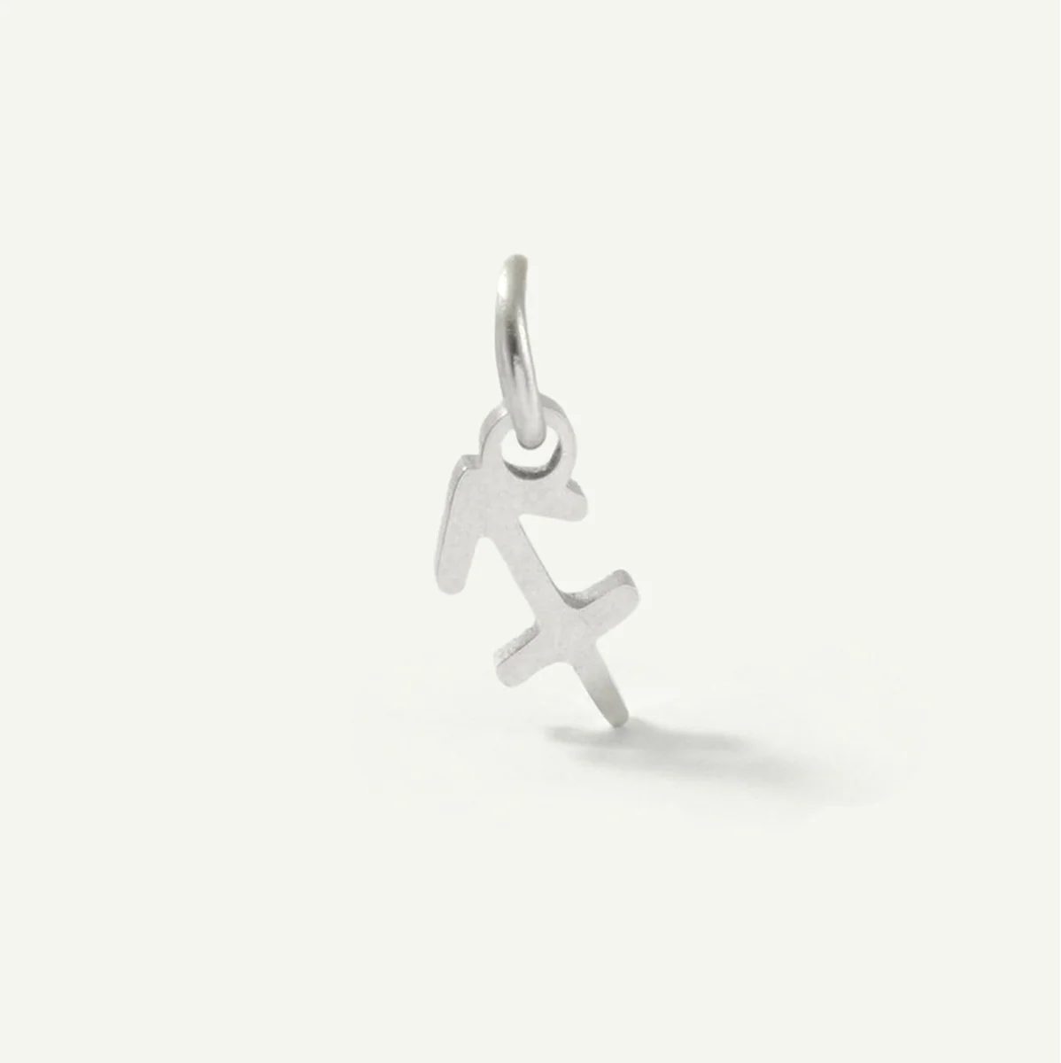 Standard Zodiac Charm