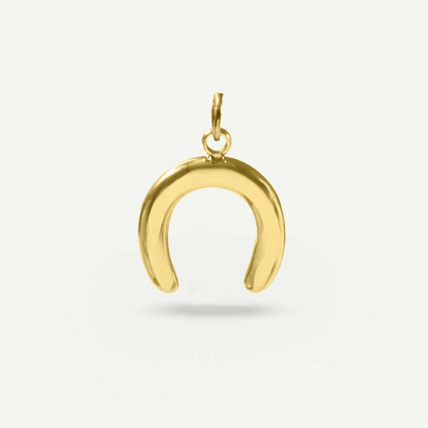 Horseshoe Charm