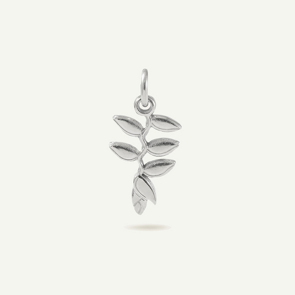 Heliconia Ginger Charm