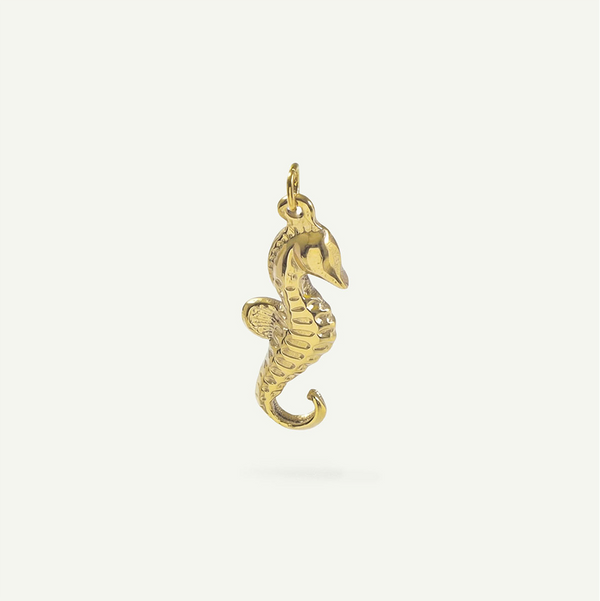 Minimal Seahorse Charm