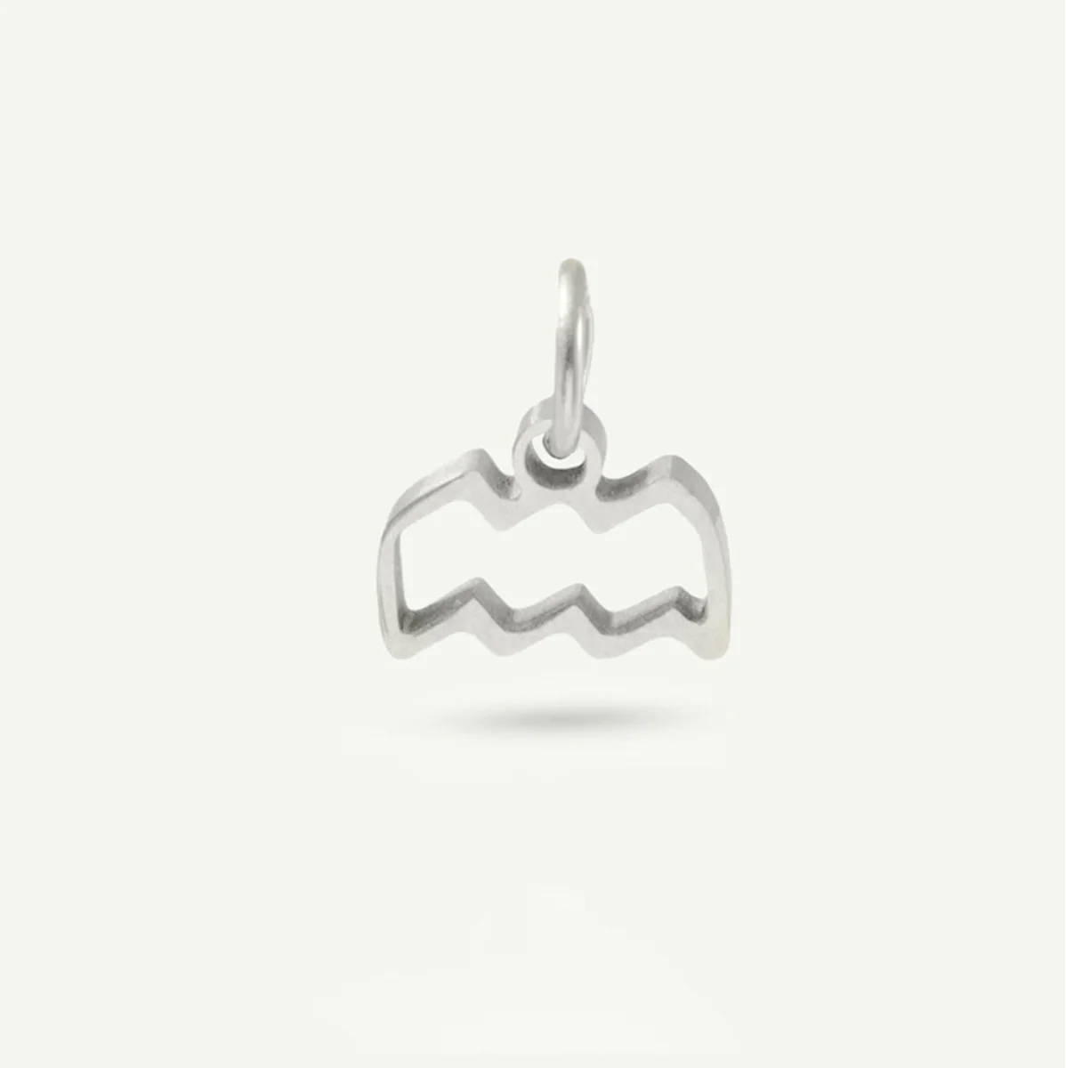 Standard Zodiac Charm