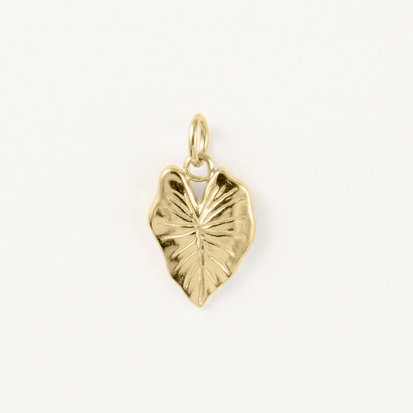 Kalo Charm, Gold