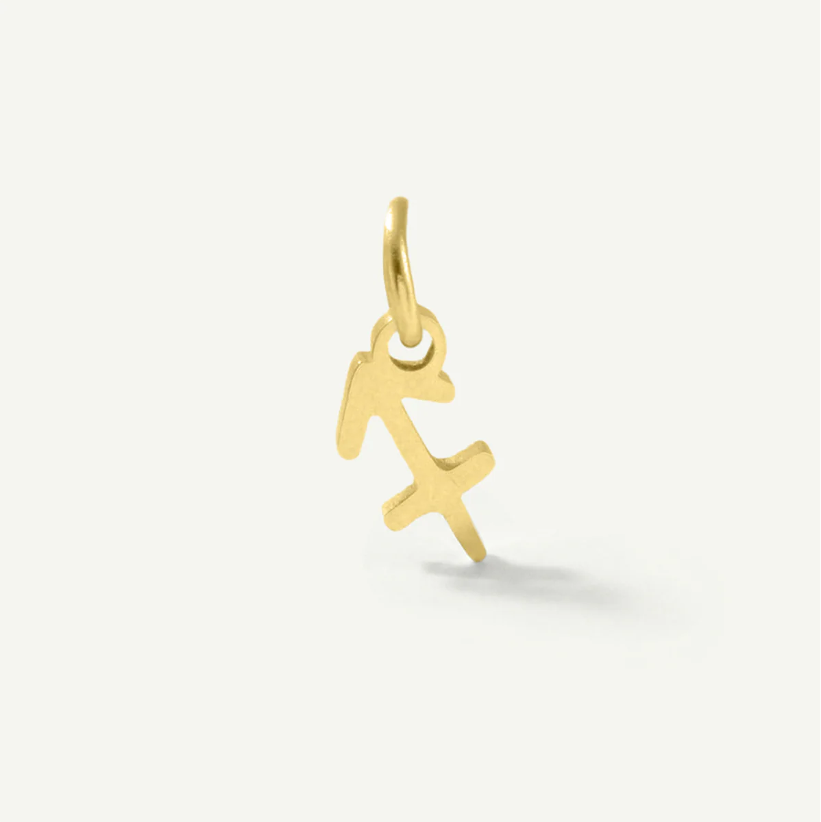Standard Zodiac Charm