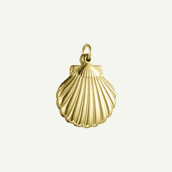 Sunrise Shell Charm
