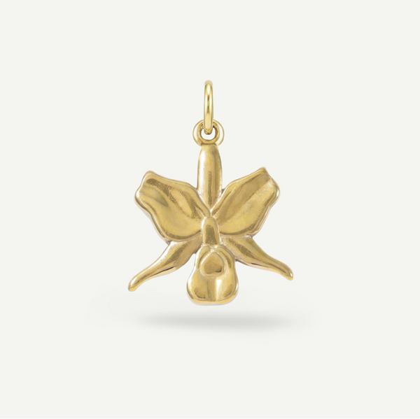 Orchid Tropics Charm