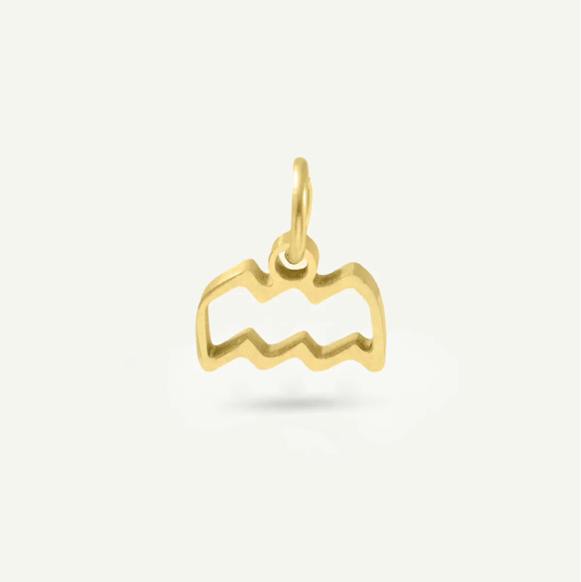 Standard Zodiac Charm