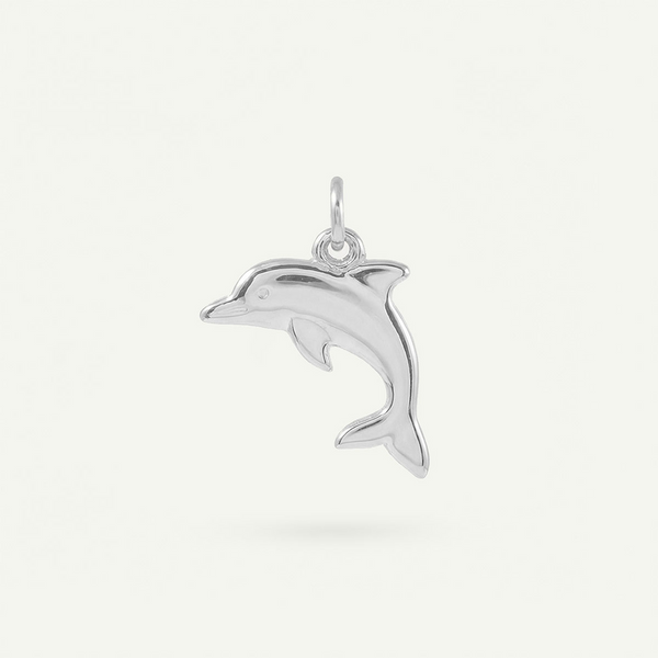 Dolphin Charm