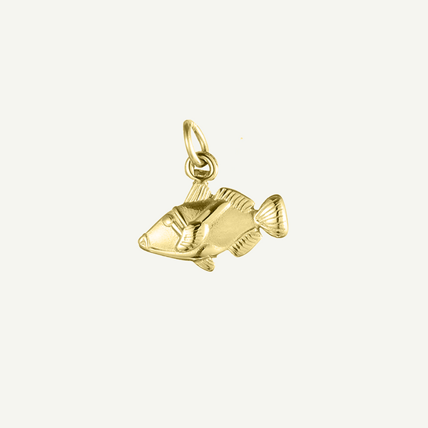 Humuhumunukunukuāpuaʻa Fish Charm