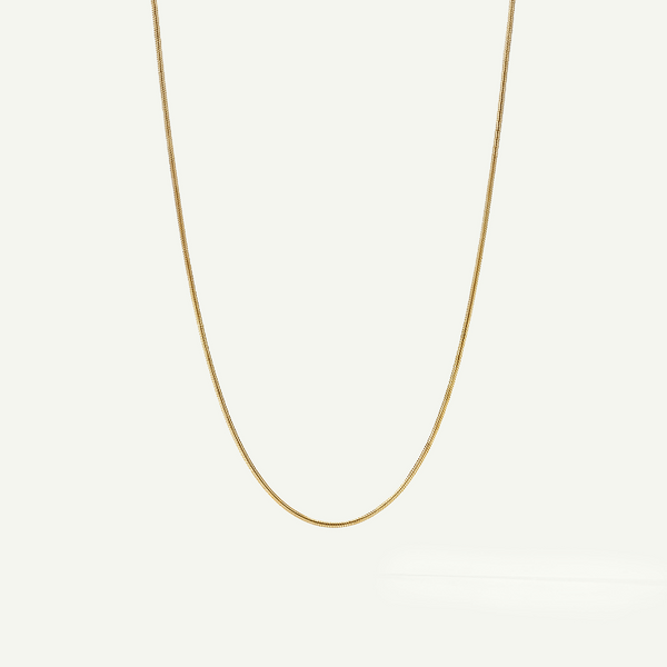 Rounded Box Chain Necklace
