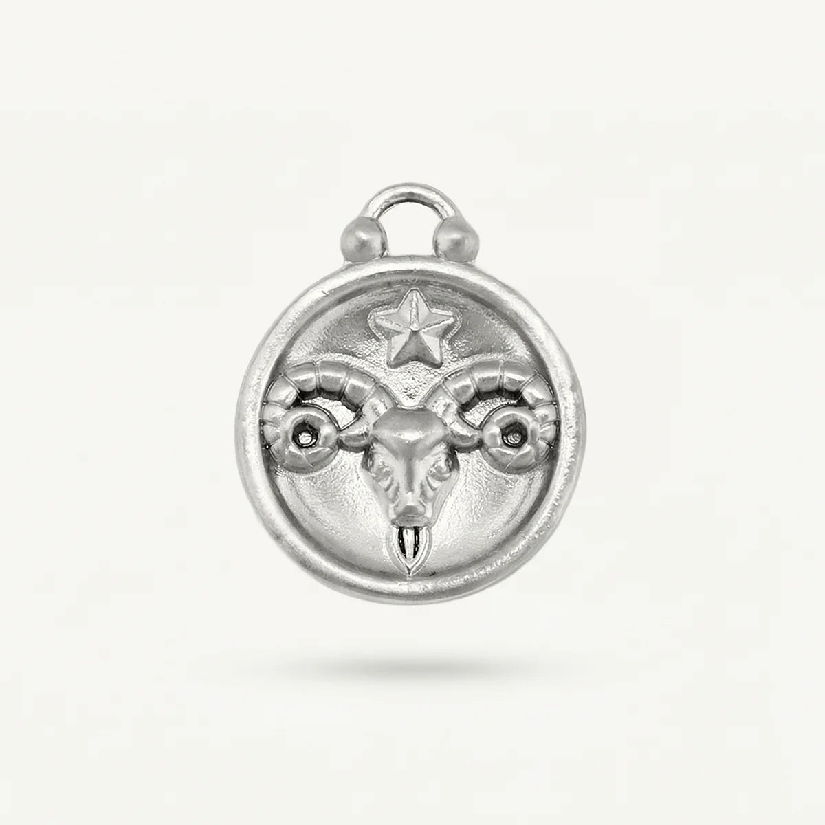 Zodiac Disk Charm