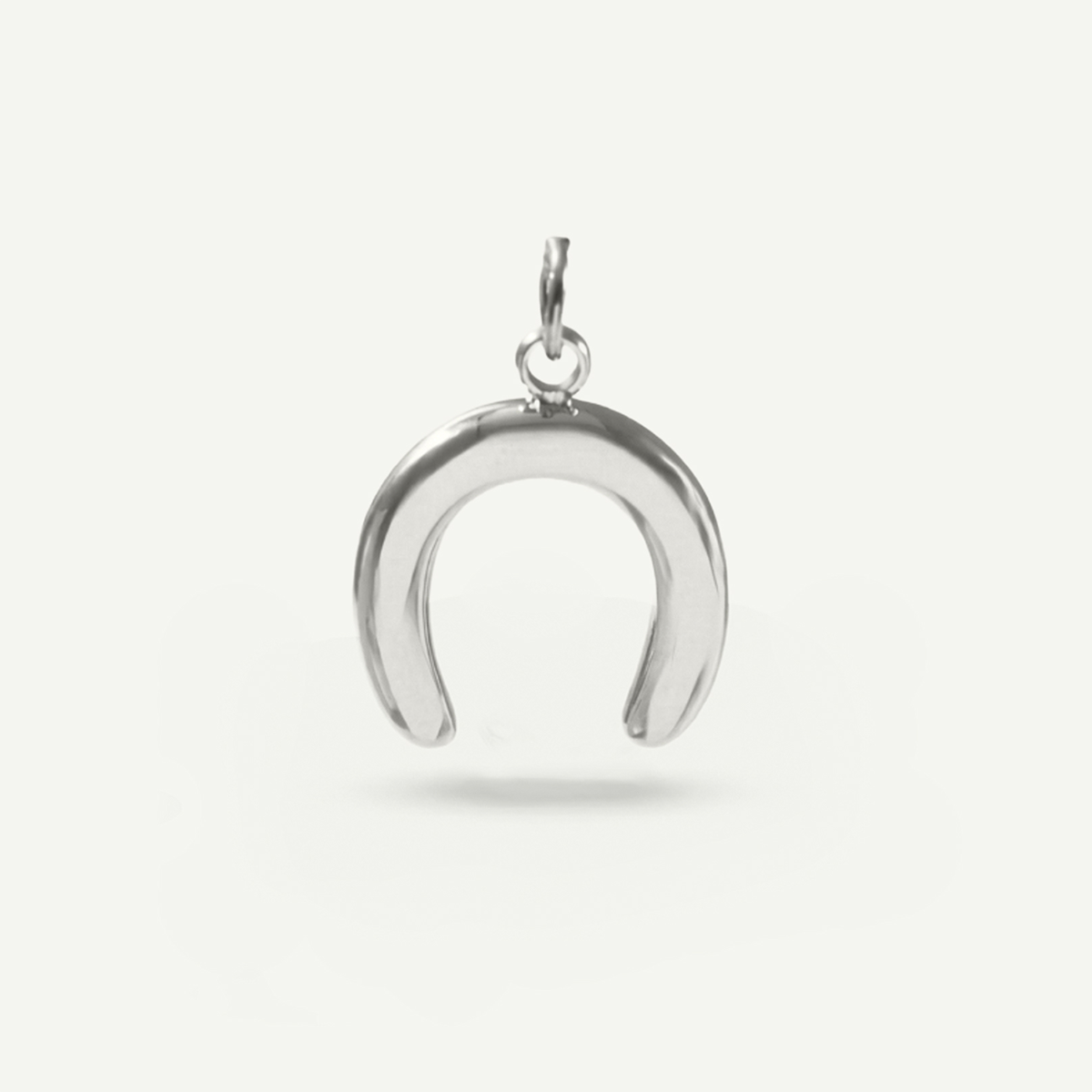 Horseshoe Charm
