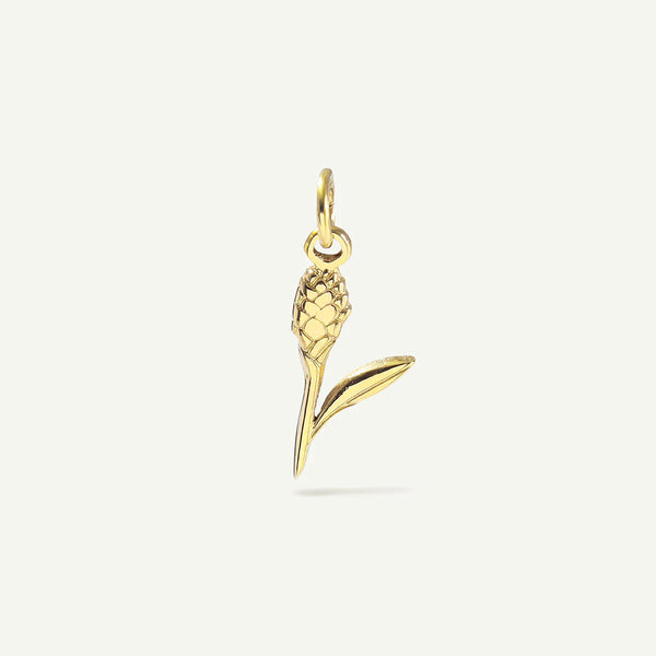 Red Ginger Charm