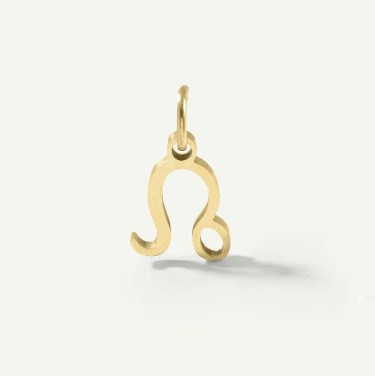 Standard Zodiac Charm