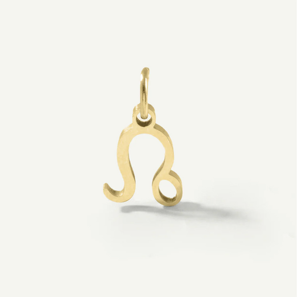 Standard Zodiac Charm