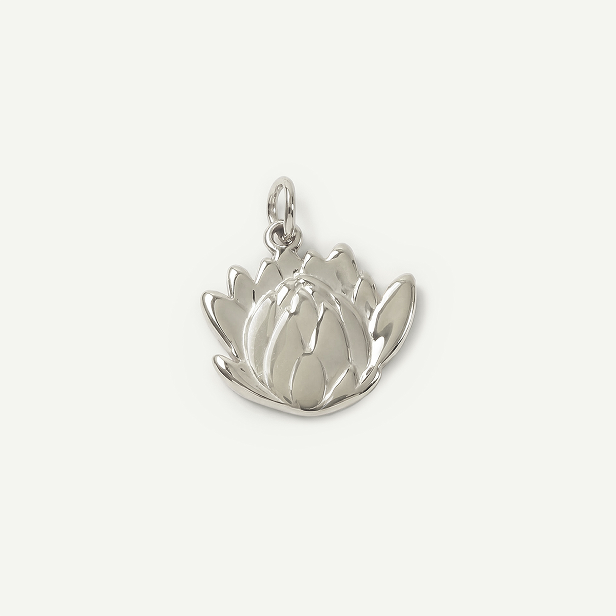 Protea Charm