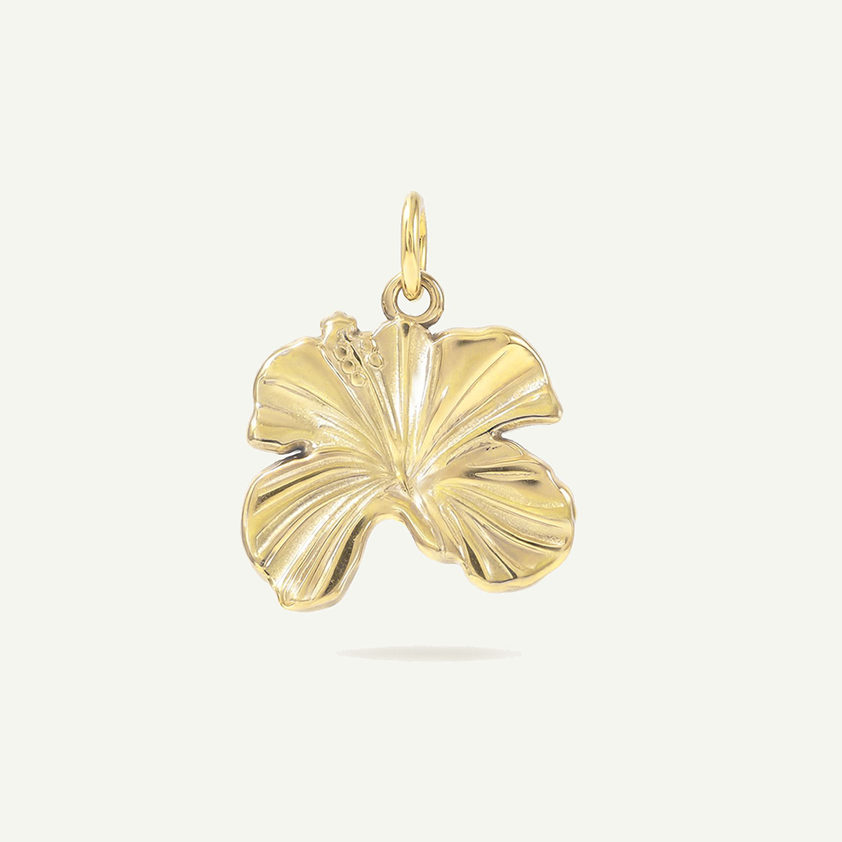 Hibiscus Tropics Charm