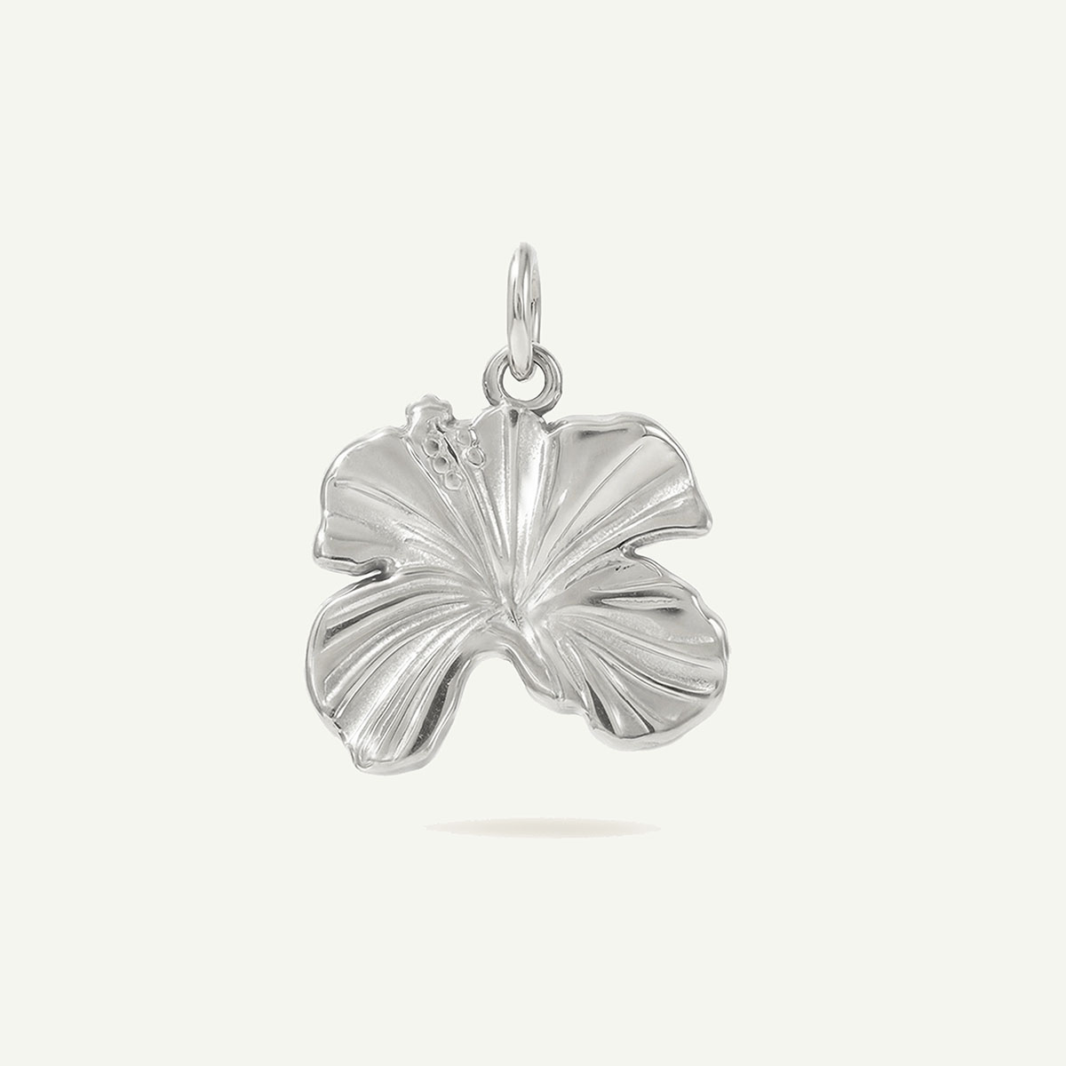 Hibiscus Tropics Charm