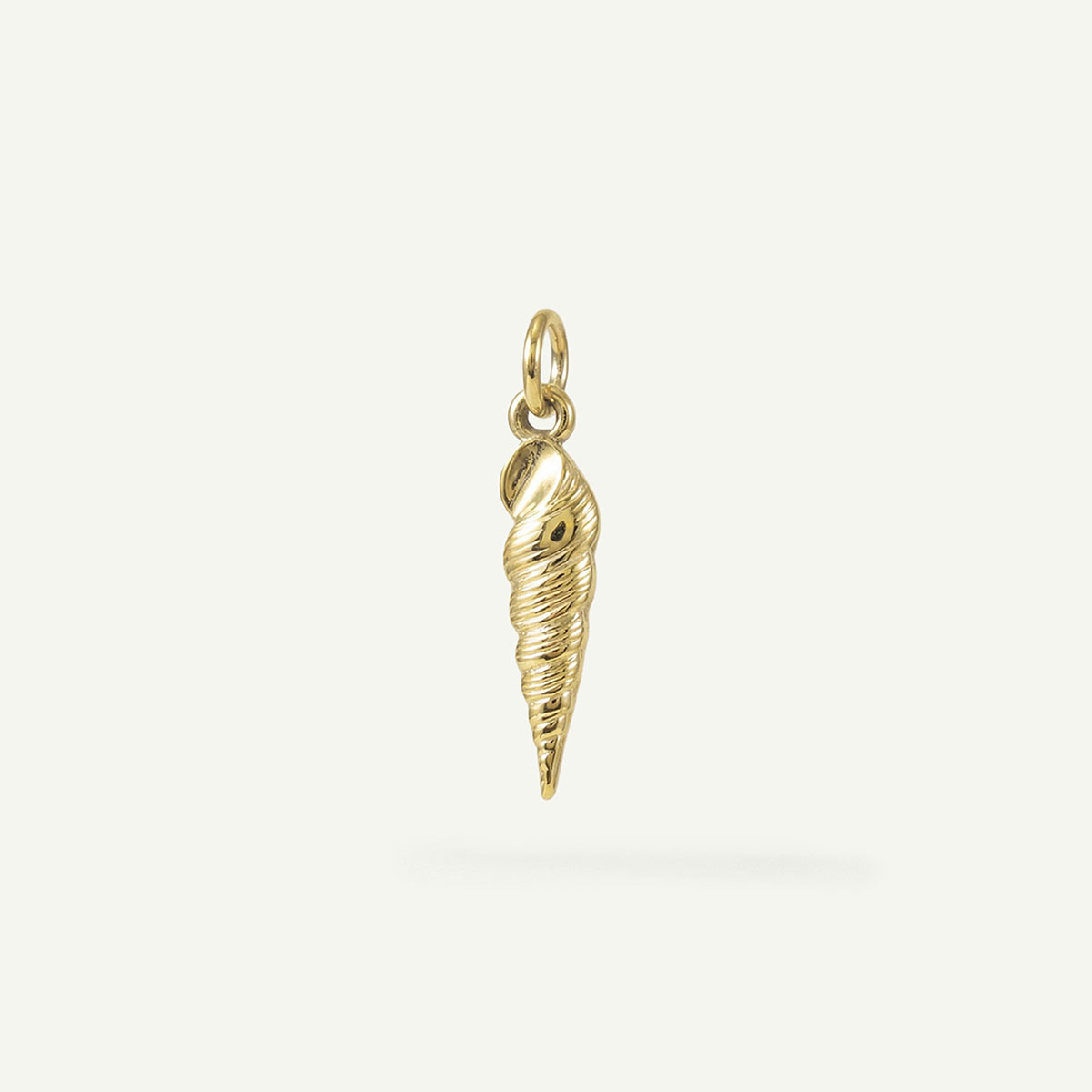 Auger Shell Charm