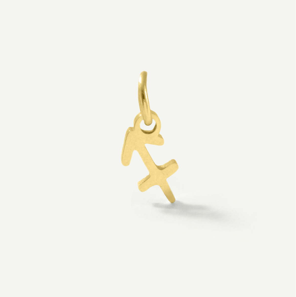 Standard Zodiac Charm