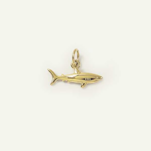 Shark Charm