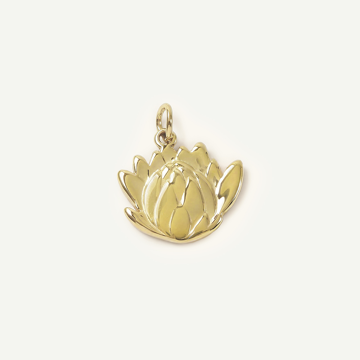 Protea Charm